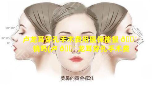 卢龙耳穿孔手术费用医保能报 🐴 销吗(卢 🌴 龙耳穿孔手术费用医保能报销吗多少钱)